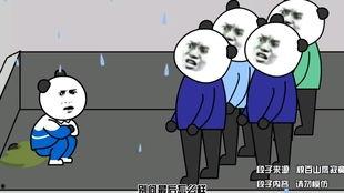 沙雕爆料小故事视频,揭秘视频背后的搞笑故事