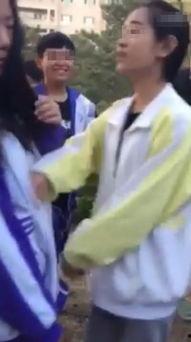 高中女生在线观看,高中女生在线观影生活掠影