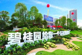 南康碧桂园爆料最新消息,揭秘项目进展与未来规划