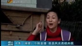 辣嫂电影在线观看,一场视觉与味蕾的双重盛宴