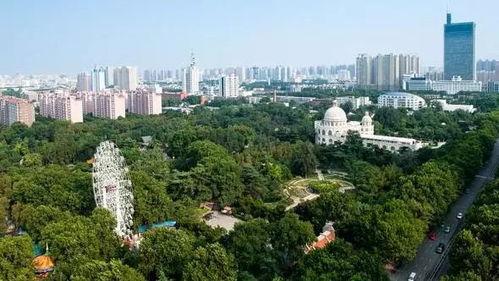 郑州碧沙岗最新爆料新闻,揭秘背后真相