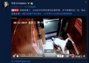 谁爆料家暴视频大全下载,独家视频大全下载解析