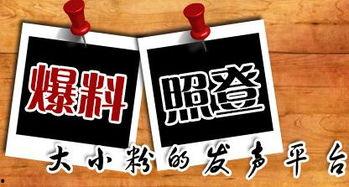 云南新闻爆料平台,聚焦民生热点，揭示社会真相