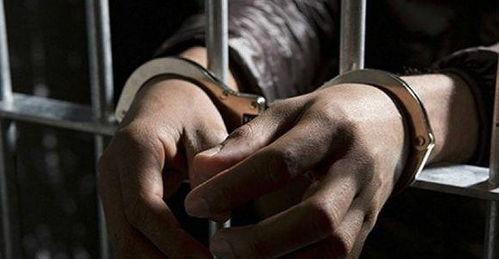 陈警官爆料血奴视频