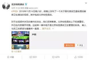 爆料最近热点的视频是什么,揭秘背后真相与幕后故事