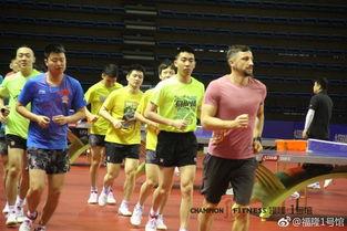 国乒男队爆料视频完整版,完整版爆料视频背后的故事与精彩瞬间