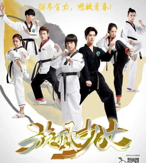 旋风少女免费在线观看,青春热血，舞动青春梦想！