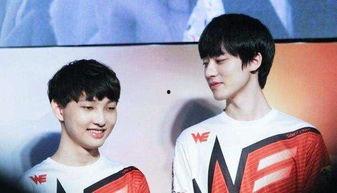 we草莓最新爆料,揭秘明星幕后故事