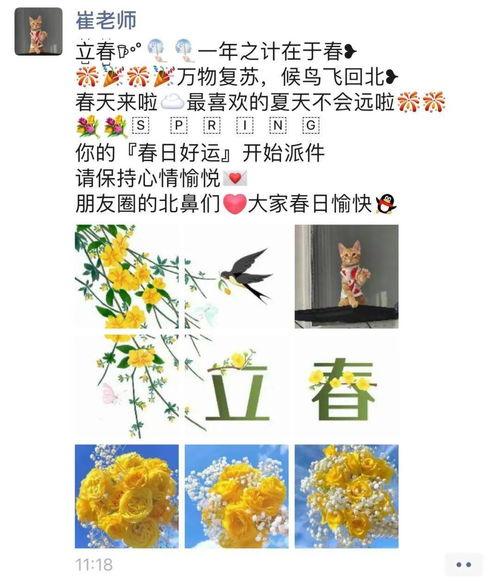 林子的吃瓜日记免费阅读,揭秘娱乐圈幕后故事