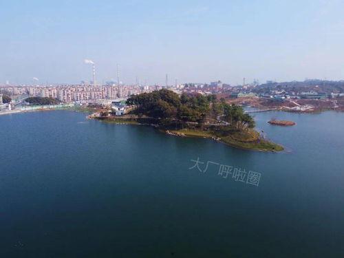 安徽公园爆料视频最新,揭秘公园背后的惊人真相