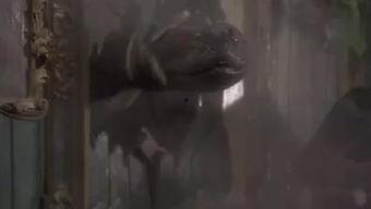 狂蟒之灾雅酷在线观看,雅酷平台独家呈现！