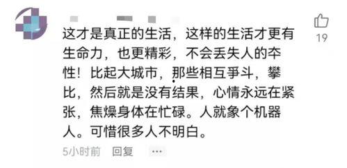 娱乐吃瓜酱名言大全集视频,笑料百出,智慧闪耀